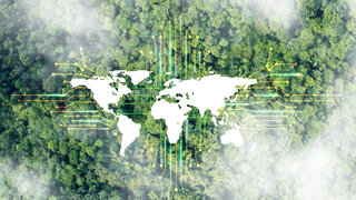 Forest view from above with white world map in between. 